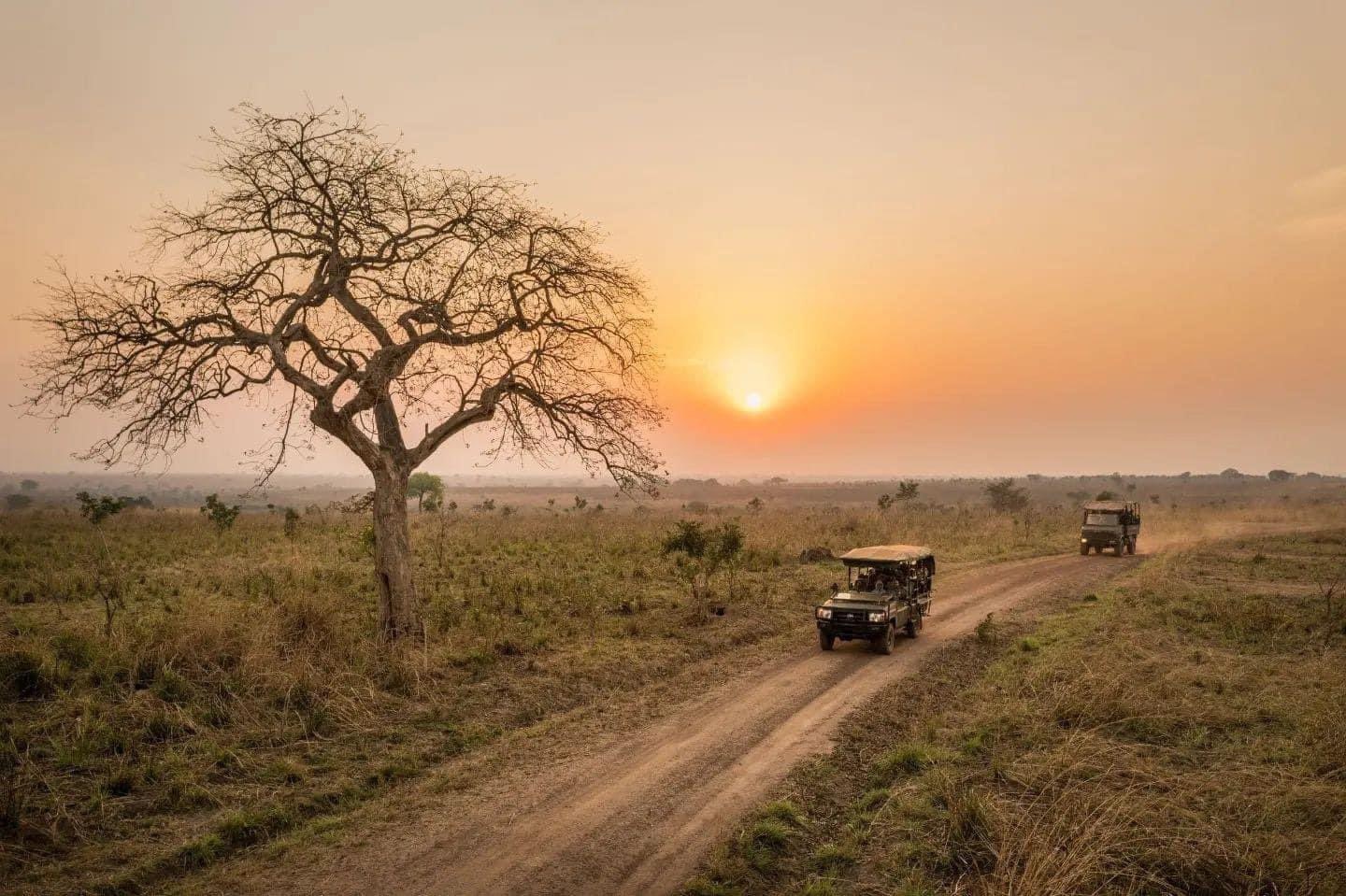 Safari in Gambara national park 
