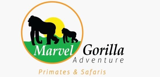 Marvel Gorilla Adventure