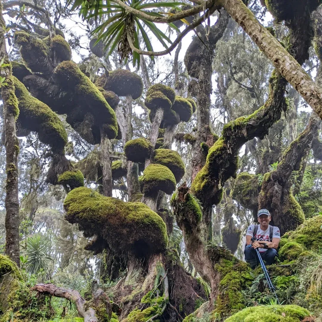Hiking through the woods of the mountain