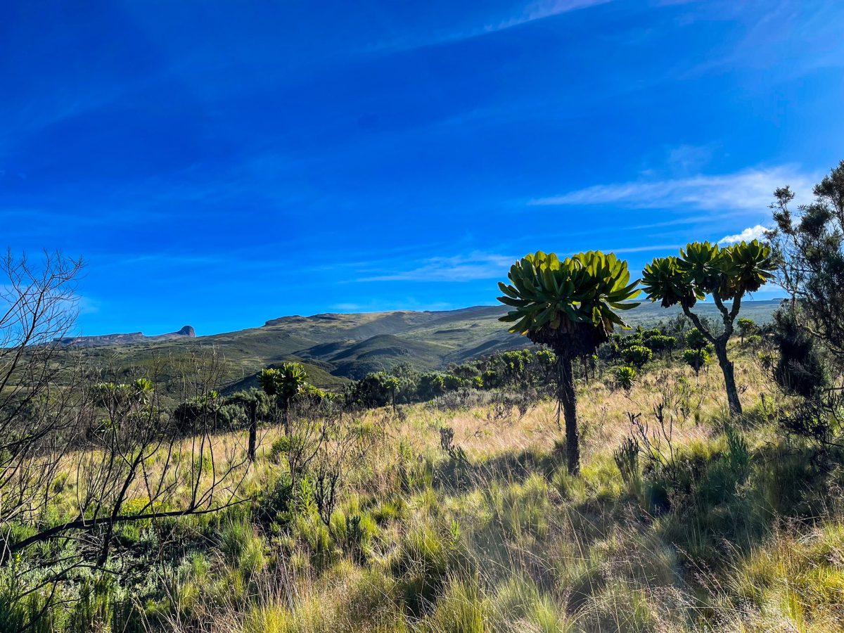 Beautiful view of the mountain