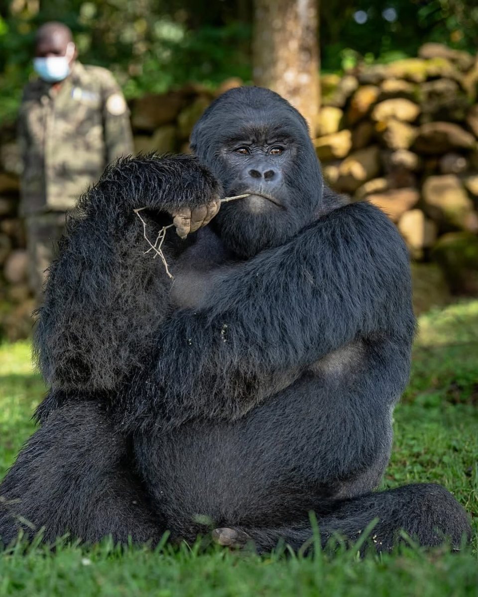 Volcanoes National Park