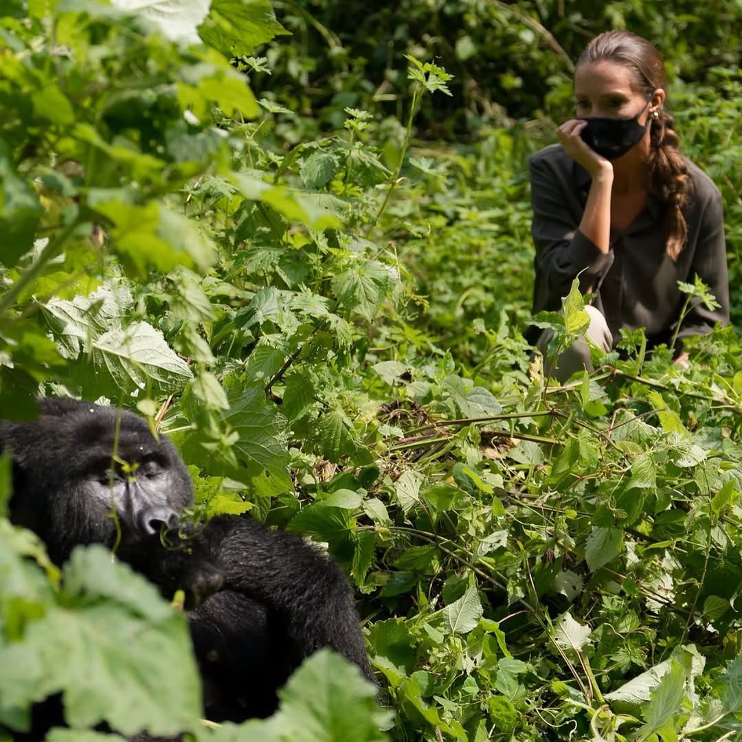 How long does gorilla trekking take?