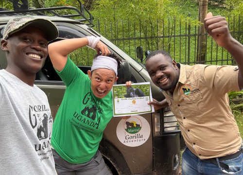 Which part of Bwindi is best for gorilla trekking?