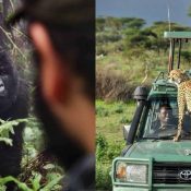 Gorilla Trekking & Safari Combination