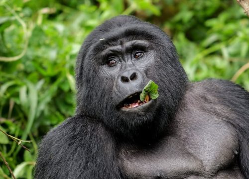 How difficult is the hike?