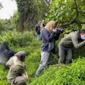 how long can you spend with gorillas
