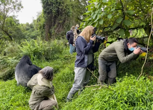 How long can I spend with the gorillas?