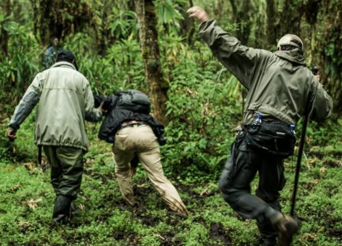 Am I guaranteed to see them?